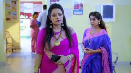 Malar S01E110 28th August 2019 Full Episode