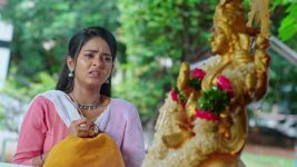 Malli Nindu Jabili S01E203 Malli's Firm Decision Full Episode