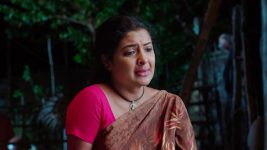 Malli Nindu Jabili S01E28 Meera Longs for Malli Full Episode