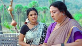 Malli Nindu Jabili S01E36 Will Meera Meet Malli? Full Episode