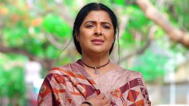 Malli Nindu Jabili S01E94 Meera in Search of Malli Full Episode