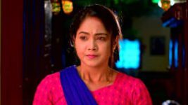 Meenakshi Ponnunga S01E13 17th August 2022 Full Episode