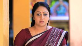 Mouna Raagam S01E768 Mallika Seeks a Job Full Episode