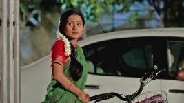 Mulgi Zali Ho S01E217 Siddhant Proposes to Mau Full Episode