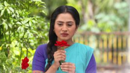 Mulgi Zali Ho S01E331 Mau Turns Gloomy Full Episode