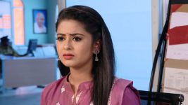 Neevalle Neevalle (Star Maa) S01E145 Preethi Is Doubtful Full Episode