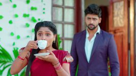 Nuvvu Nenu Prema S01E118 Padmavathi's Wrong Step Full Episode