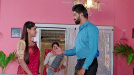 Nuvvu Nenu Prema S01E151 Padmavathi, Vikramaditya are Happy Full Episode