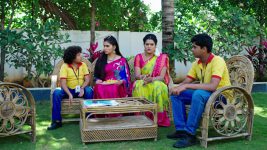 Paape Maa Jeevana Jyothi S01 E476 Yamini Is Disappointed