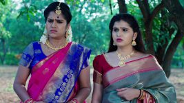 Paape Maa Jeevana Jyothi S01 E488 Yamini in Trouble?