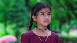 Paape Maa Jeevana Jyothi S01E113 Life Threat to Kutti Full Episode