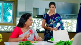 Paape Maa Jeevana Jyothi S01E124 An Advice to Priya Full Episode