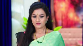 Paape Maa Jeevana Jyothi S01E137 Priya Makes a Plea Full Episode