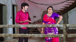 Paape Maa Jeevana Jyothi S01E138 Kannamma and Shambu's Sinful Plan Full Episode