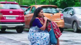 Paape Maa Jeevana Jyothi S01E141 Jyothi on Cloud Nine Full Episode