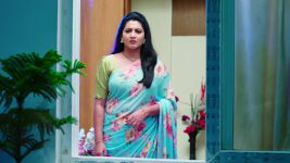 Paape Maa Jeevana Jyothi S01E143 Will Jyothi Reunite with Kutti? Full Episode