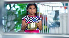 Paape Maa Jeevana Jyothi S01E144 Will Kutti Confront Jyothi? Full Episode