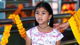 Paape Maa Jeevana Jyothi S01E150 Kutti's Brave Act Full Episode