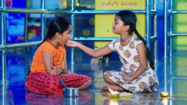 Paape Maa Jeevana Jyothi S01E155 Kutti's New Friend, Mallika Full Episode