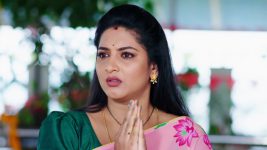 Paape Maa Jeevana Jyothi S01E156 Will Jyothi Find Kutti? Full Episode