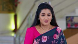 Paape Maa Jeevana Jyothi S01E159 Jyothi Is Anguished Full Episode