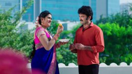 Paape Maa Jeevana Jyothi S01E170 Indumathi, Shambu Are Joyful Full Episode