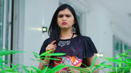 Paape Maa Jeevana Jyothi S01E174 Yamini Is Doubtful Full Episode