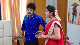 Paape Maa Jeevana Jyothi S01E175 Indumathi, Shambu's Evil Plan Full Episode