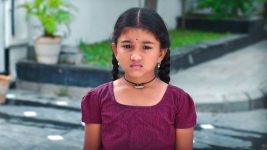 Paape Maa Jeevana Jyothi S01E176 Kutti Makes a Plea Full Episode