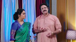 Paape Maa Jeevana Jyothi S01E205 Gowri Prasad Gives a Suggestion Full Episode