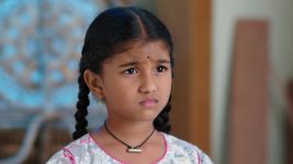 Paape Maa Jeevana Jyothi S01E219 Kutti Is Heartbroken Full Episode