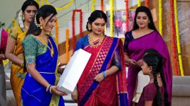 Paape Maa Jeevana Jyothi S01E222 The Family Celebrates Sankranti Full Episode