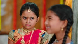 Paape Maa Jeevana Jyothi S01E224 Mallika Gets Annoyed Full Episode