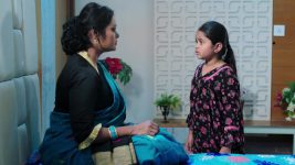 Paape Maa Jeevana Jyothi S01E229 A Shock Awaits Mallika Full Episode