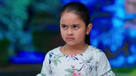 Paape Maa Jeevana Jyothi S01E232 Mallika Is Jealous of Kutti Full Episode