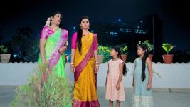 Paape Maa Jeevana Jyothi S01E240 Indumathi, Yamini Restrict Kutti Full Episode