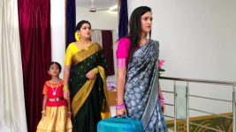 Paape Maa Jeevana Jyothi S01E242 Jyothi Is Startled Full Episode