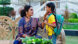 Paape Maa Jeevana Jyothi S01E247 Hymavathi Is Surprised Full Episode