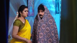 Paape Maa Jeevana Jyothi S01E251 Shambu's Evil Deeds Full Episode