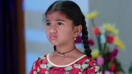 Paape Maa Jeevana Jyothi S01E252 Kutti in a Fix Full Episode