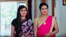 Paape Maa Jeevana Jyothi S01E254 Indumathi Is Petrified Full Episode