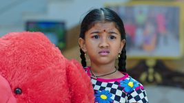 Paape Maa Jeevana Jyothi S01E279 Kutti Lands in a Tight Spot Full Episode