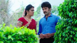 Paape Maa Jeevana Jyothi S01E291 What is Shambu's Next Plan? Full Episode