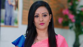 Paape Maa Jeevana Jyothi S01E299 Priya Has an Idea Full Episode