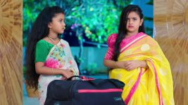 Paape Maa Jeevana Jyothi S01E304 The Kids' Funny Act Full Episode