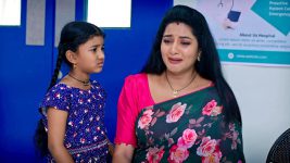 Paape Maa Jeevana Jyothi S01E310 Jyothi's Family Is Depressed Full Episode