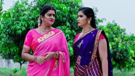 Paape Maa Jeevana Jyothi S01E324 Indumathi's Plan Backfires Full Episode