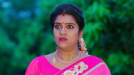 Paape Maa Jeevana Jyothi S01E325 Indumathi in a Pickle Full Episode