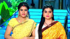 Paape Maa Jeevana Jyothi S01E365 Indumathi Is Joyful Full Episode