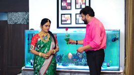 Paape Maa Jeevana Jyothi S01E367 Recreating the Wedding Day Full Episode